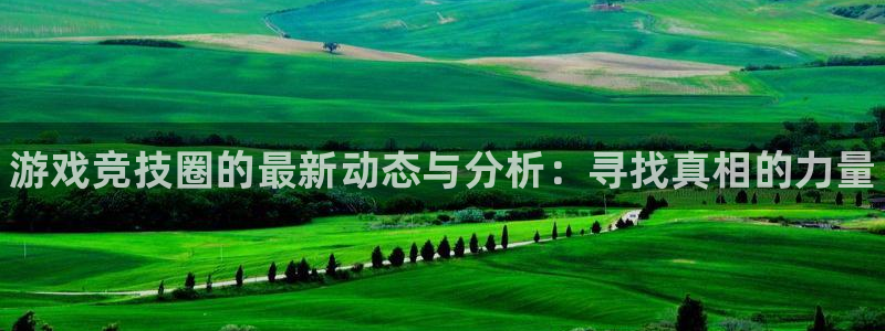 辉达娱乐登录网址：游戏竞技圈的最新动态与分析：寻找真相的力量