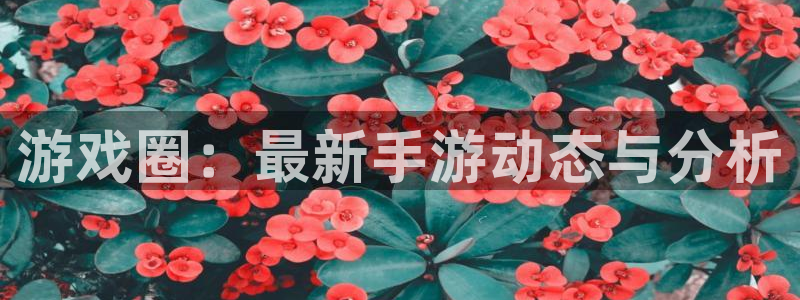 辉达娱乐手机网页版登录：游戏圈：最新手游动态与分析