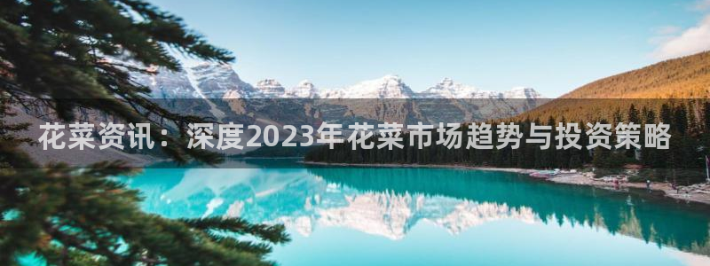 辉达娱乐娱乐是真的吗：花菜资讯：深度2023年花菜市场趋势与